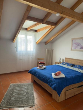 Bellissimo appartamento rinnovato Ascona